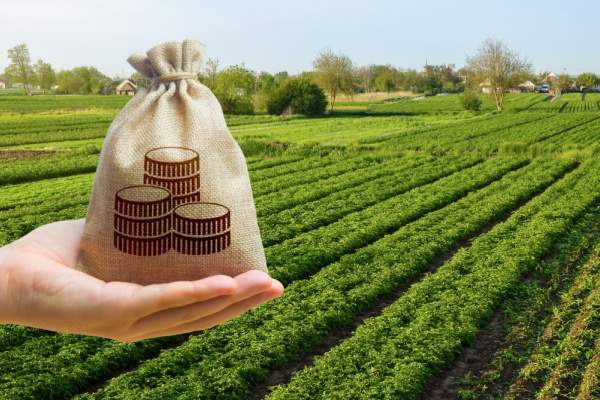 Impôts et taxes pour le secteur agricole : ce qui va changer en 2026