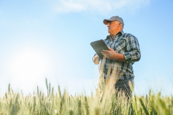 Retraite agricole : le point RCO revalorisé en 2025